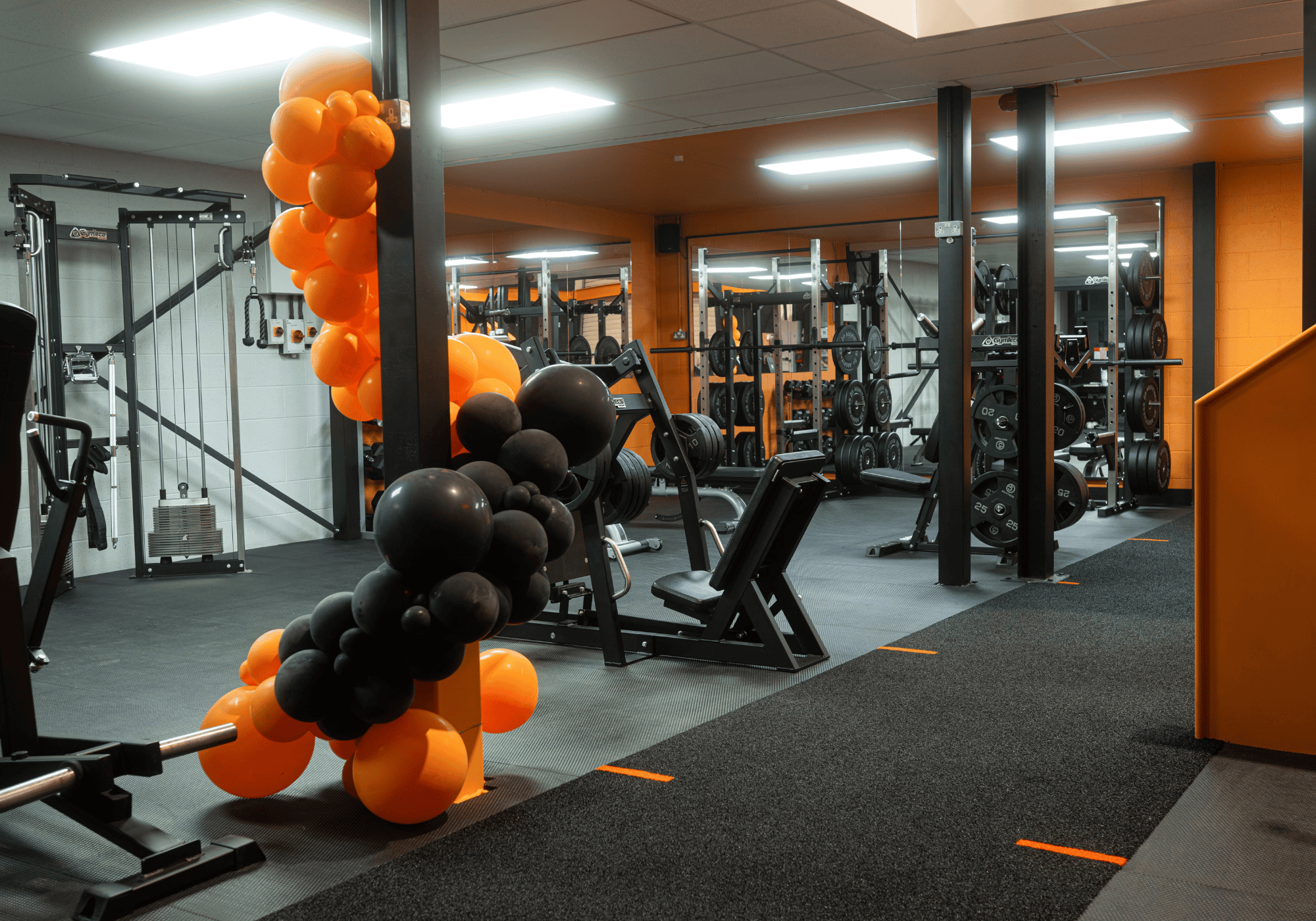 DB's Gym