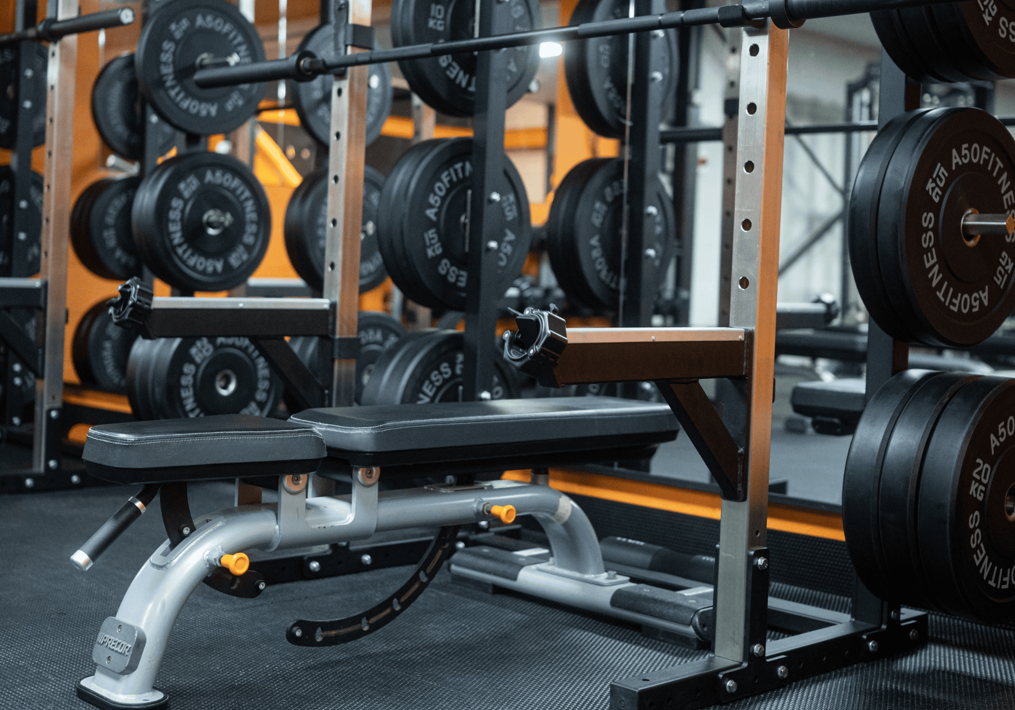 DB's Gym