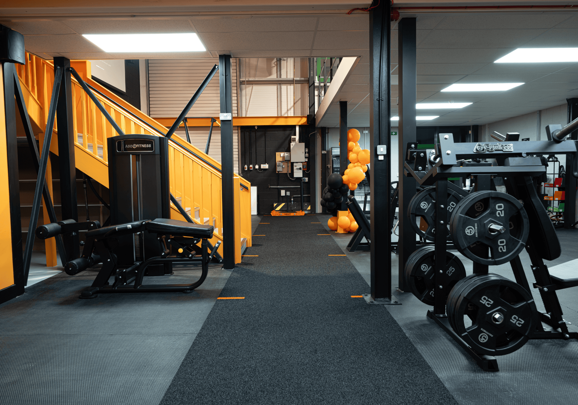 DB's Gym