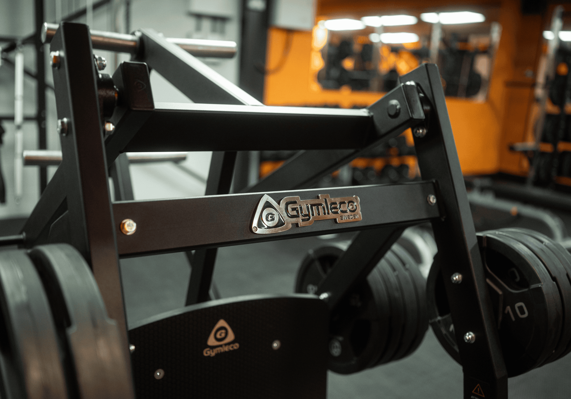 DB's Gym